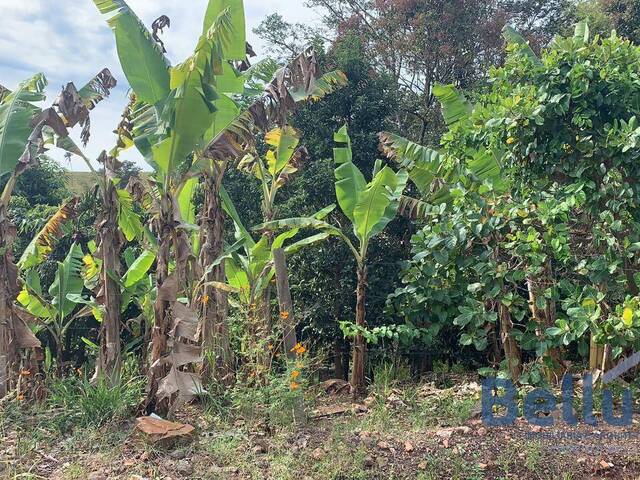 Chácara para Venda em Piraju - 5