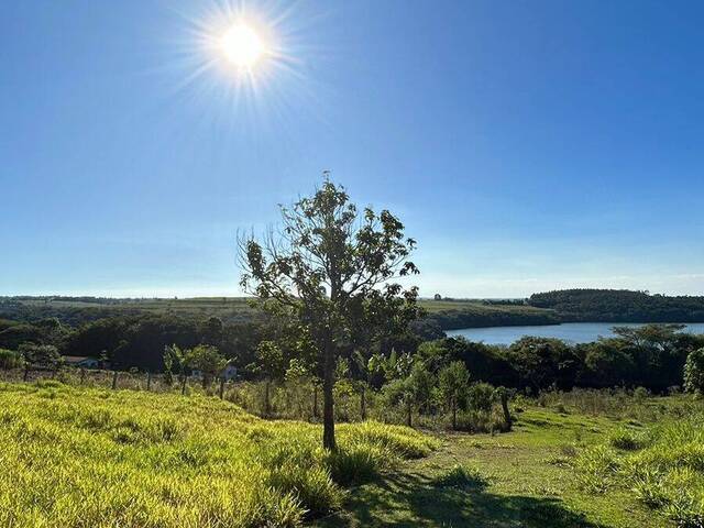 Venda em Monte Alegre do Funil - Piraju