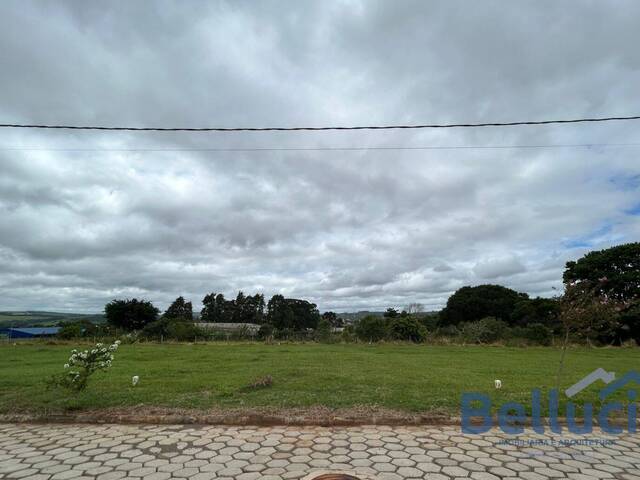 Venda em Loteamento Alto de Santa Maria - Piraju