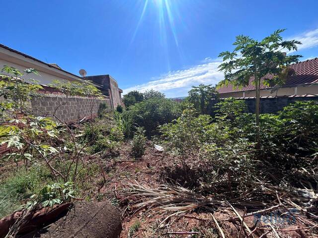 #1105 - Terreno para Venda em Piraju - SP