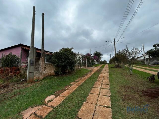 #1107 - Terreno para Venda em Piraju - SP - 3