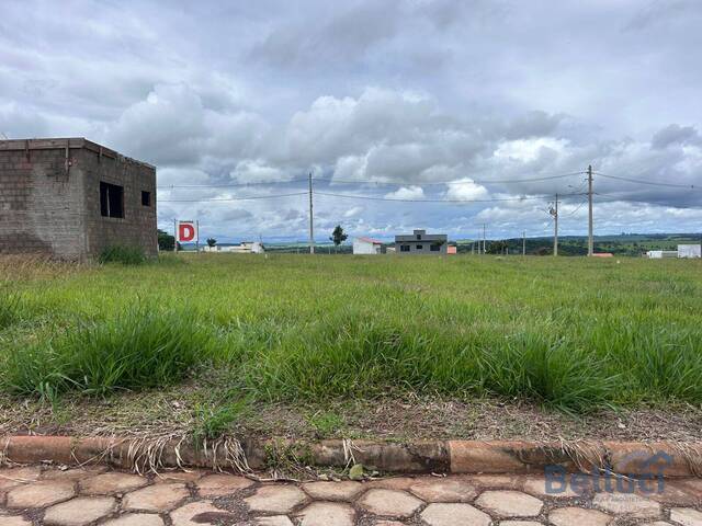#1158 - Área para Venda em Piraju - SP