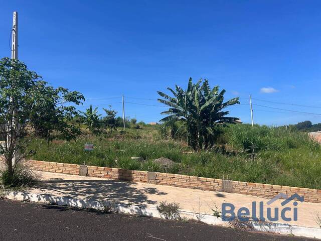 #1165 - Área para Venda em Piraju - SP