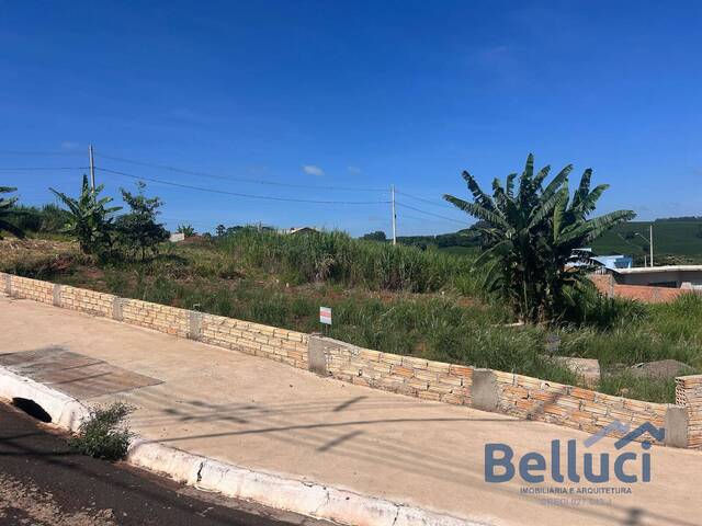 #1166 - Terreno para Venda em Piraju - SP - 3