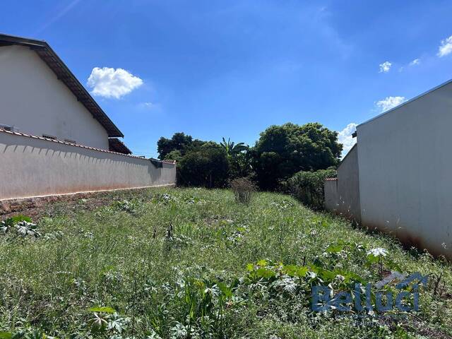 #1192 - Área para Venda em Piraju - SP - 2