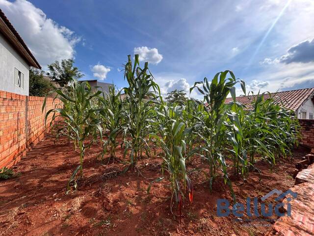 #1226 - Área para Venda em Piraju - SP