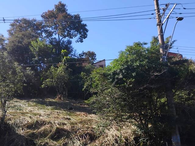 #1240 - Terreno para Venda em Piraju - SP - 2