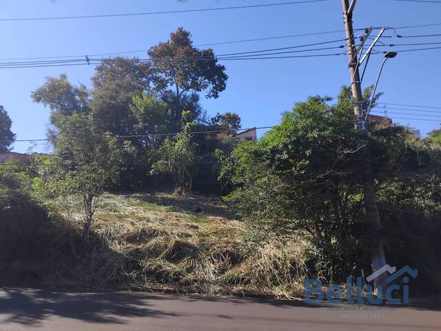 #1240 - Terreno para Venda em Piraju - SP - 1