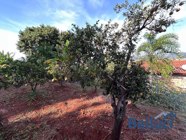#1248 - Terreno para Venda em Piraju - SP - 3