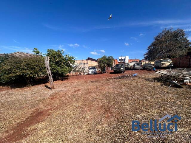 #1256 - Terreno para Venda em Piraju - SP - 3