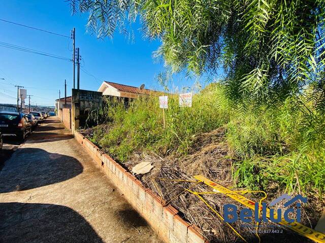 #1262 - Terreno para Venda em Piraju - SP - 3