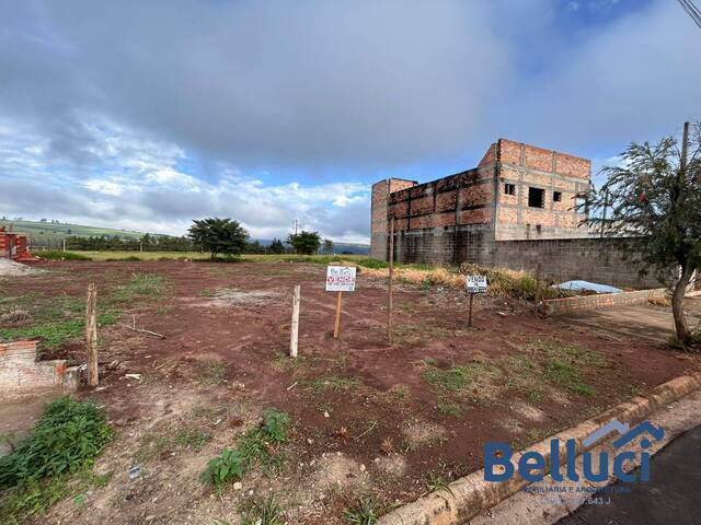 #1264 - Terreno para Venda em Piraju - SP - 3