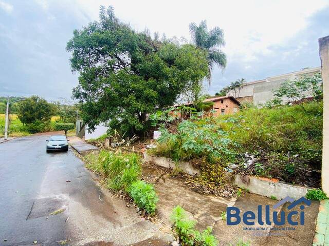 #1265 - Terreno para Venda em Piraju - SP - 3