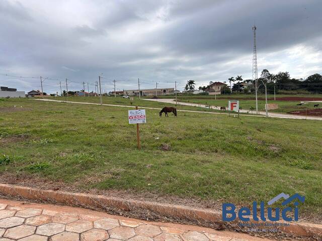 Terreno para Venda em Piraju - 5