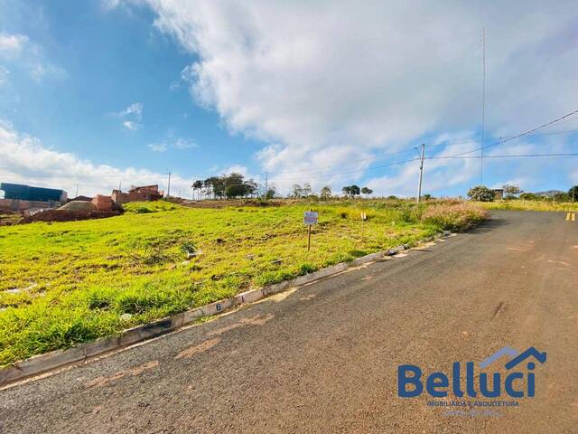 #1277 - Terreno para Venda em Piraju - SP - 3