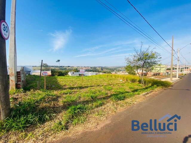 #1278 - Terreno para Venda em Piraju - SP - 3