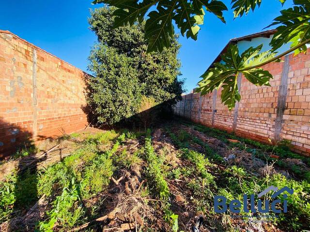 #1279 - Terreno para Venda em Piraju - SP - 3