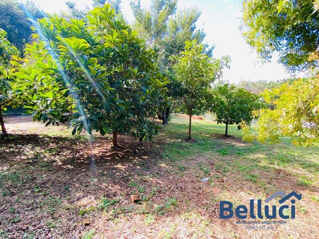 #1283 - Terreno para Venda em Piraju - SP - 3
