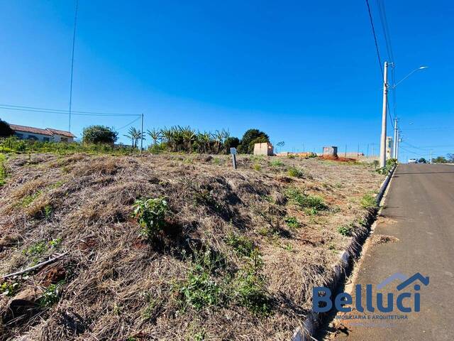 #1285 - Terreno para Venda em Piraju - SP - 3