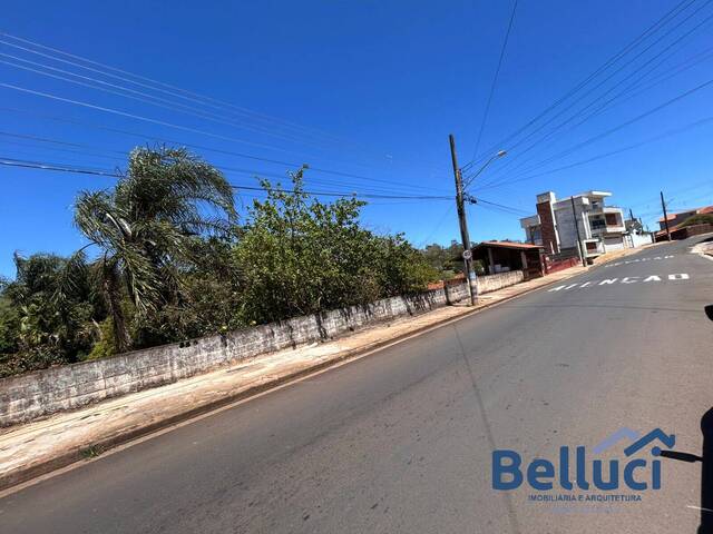 #1337 - Área para Venda em Piraju - SP - 3