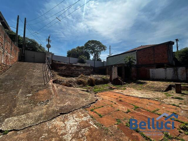 #1342 - Área para Venda em Timburi - SP - 2