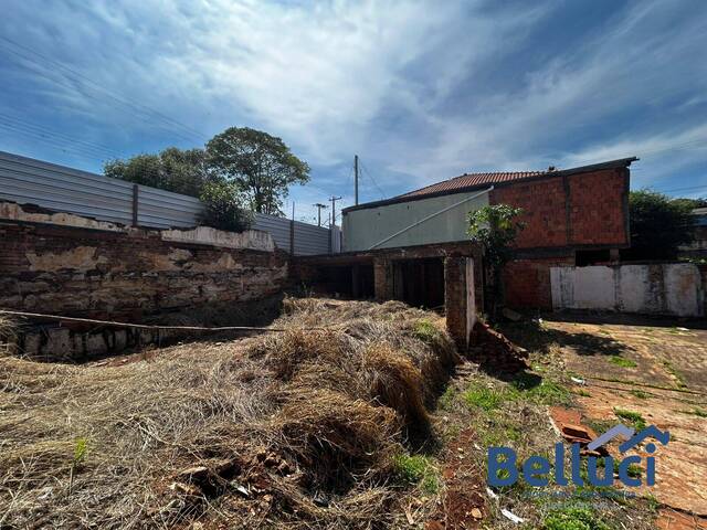 Terreno para Venda em Timburi - 4