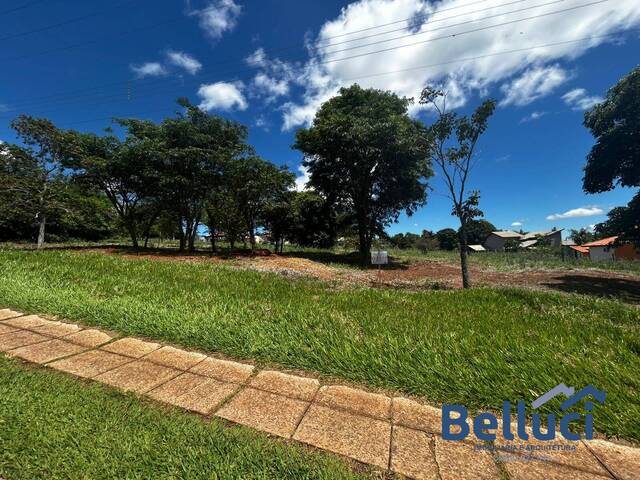 #1354 - Área para Venda em Piraju - SP - 1