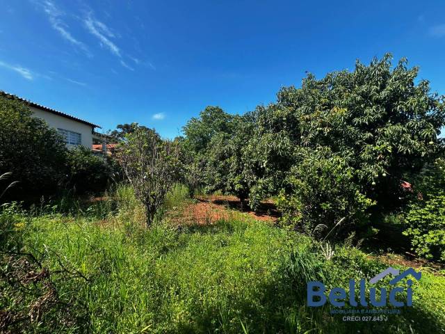 #1372 - Área para Venda em Timburi - SP - 3