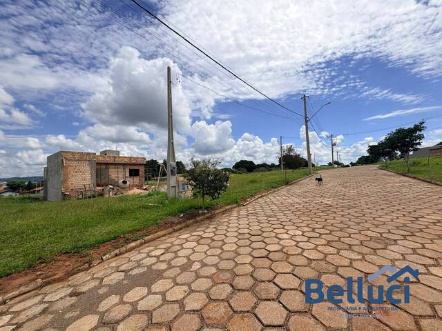 #1401 - Área para Venda em Piraju - SP - 3