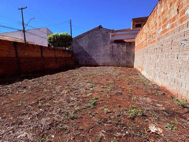 #1460 - Terreno para Venda em Piraju - SP - 3