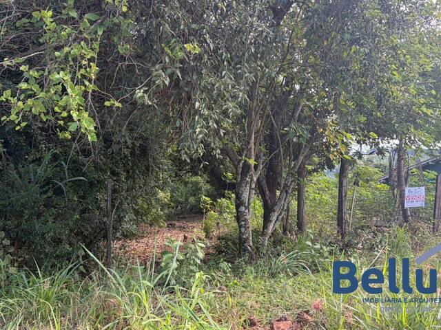 Área para Venda em Piraju - 2