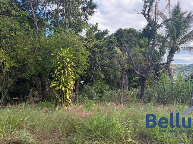Área para Venda em Piraju - 3