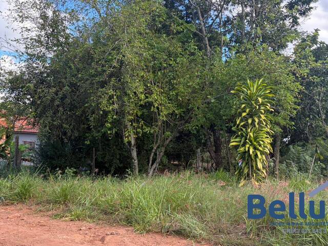 Área para Venda em Piraju - 5
