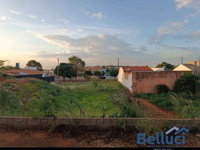 Venda em Maria Gonçalvez da Motta - Piraju