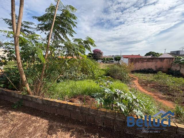 #1486 - Terreno para Venda em Piraju - SP - 2