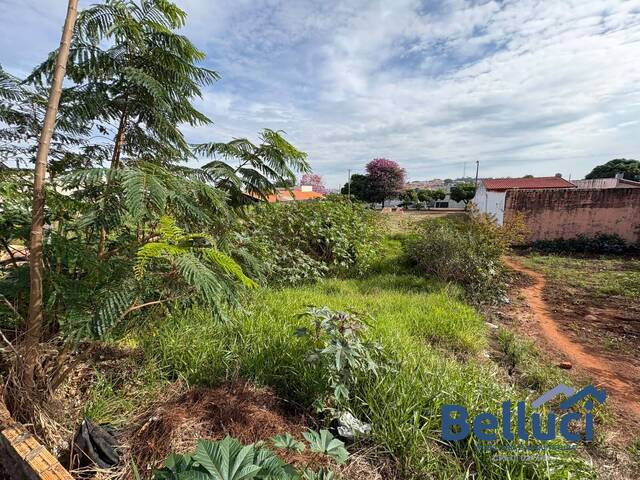 #1486 - Terreno para Venda em Piraju - SP - 3