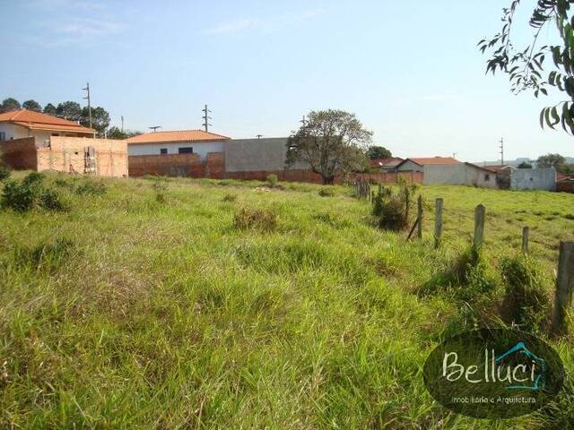 Terreno para Venda em Sarutaiá - 4