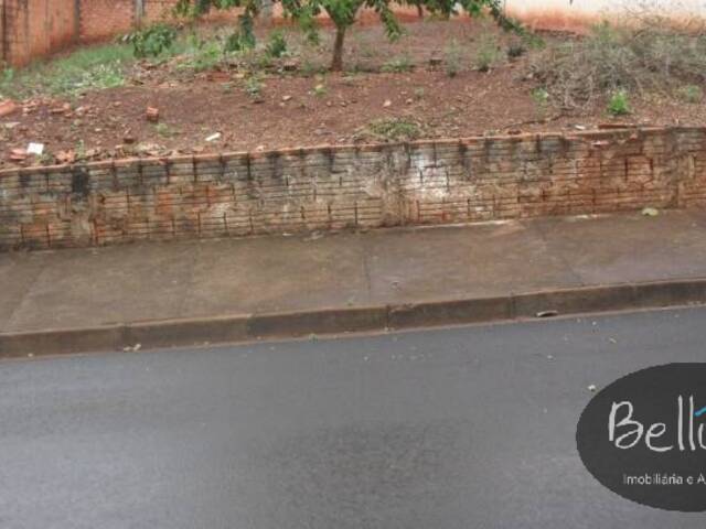 #437 - Terreno para Venda em Piraju - SP - 3