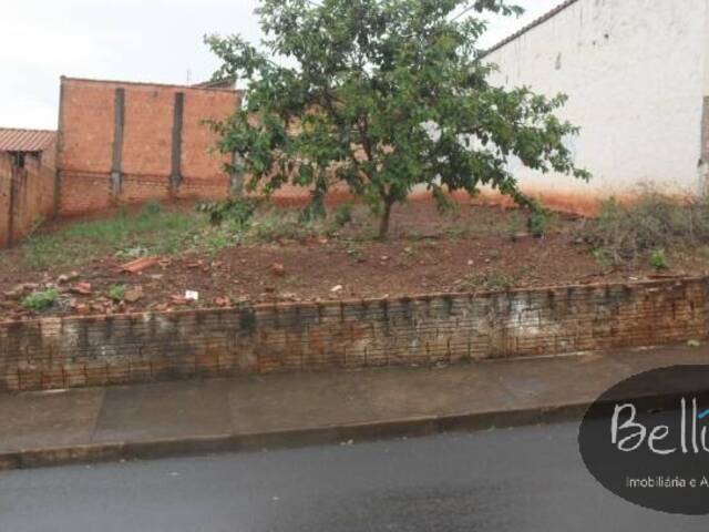 Terreno para Venda em Piraju - 5