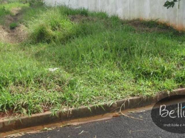 #474 - Terreno para Venda em Piraju - SP - 2